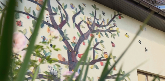 Case study Foundation Anna Dymna “Mimo Wszystko”