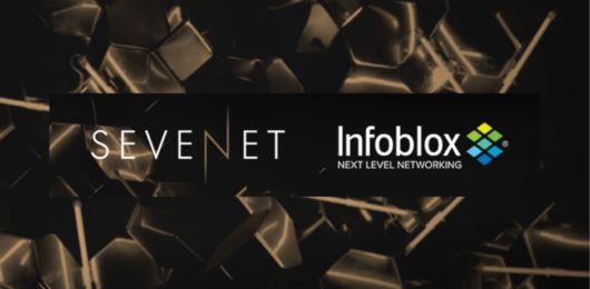 Cybersecurity workshops based on the DNS protocol